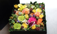 Box-Arrangement-DELUXE-size-13