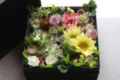 Box Arrangement M size 24