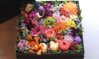 Box-Arrangement-PREMIUM-size-16