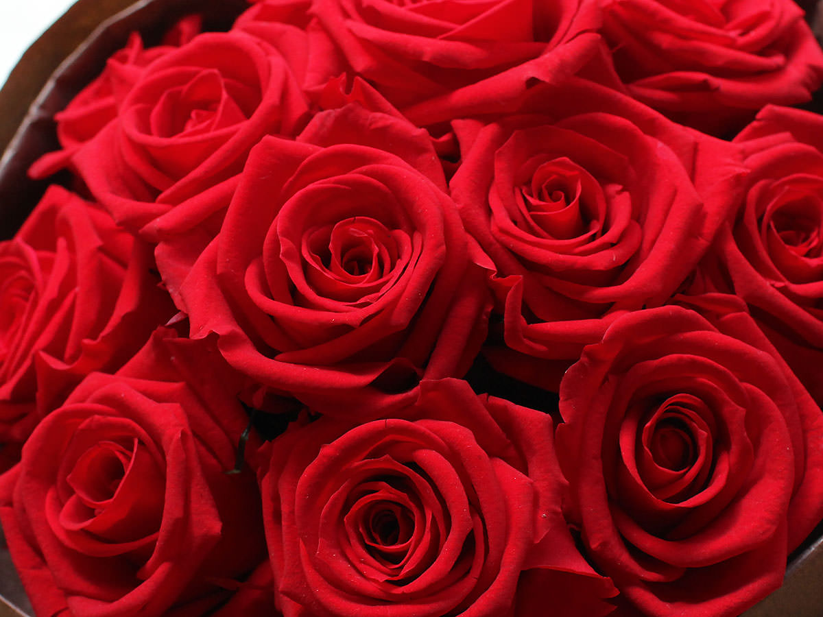 アウガルテン シンプルブーケ ローズブーケ 薔薇 トレイ大皿 Amazon.co.jp: アウガルテン シンプルブーケ ローズブーケ 薔薇