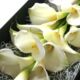 Calla Box Bouquet