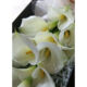 Calla Box Bouquet