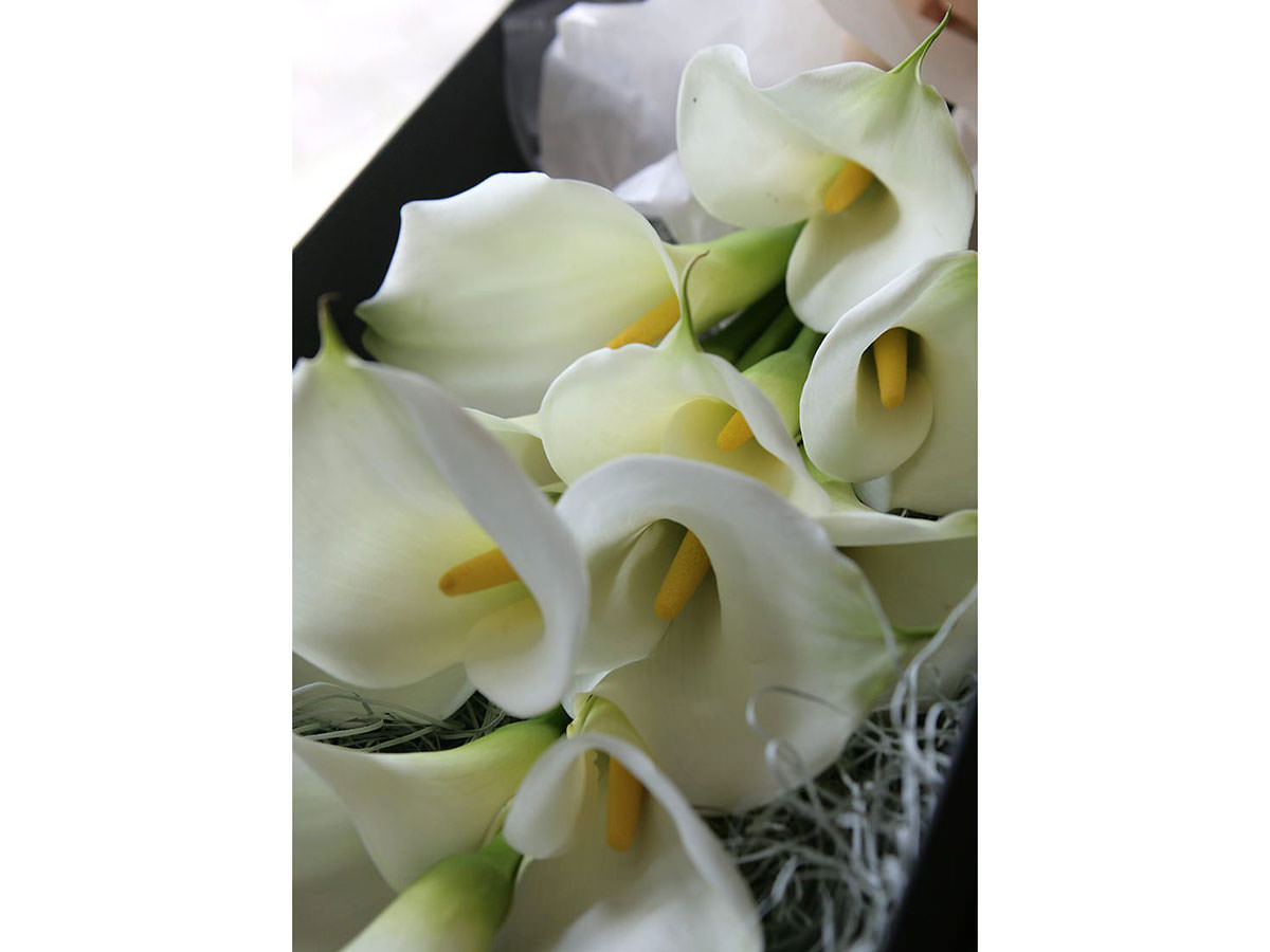 カラーボックスブーケ - K's flower novo