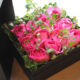 fragrance-dozen-box-arrange02