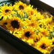 sunflower-box_02