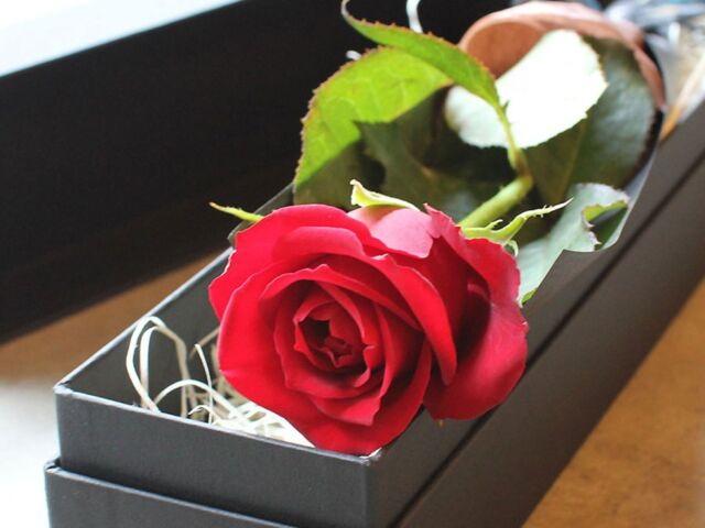 featured_box-rose