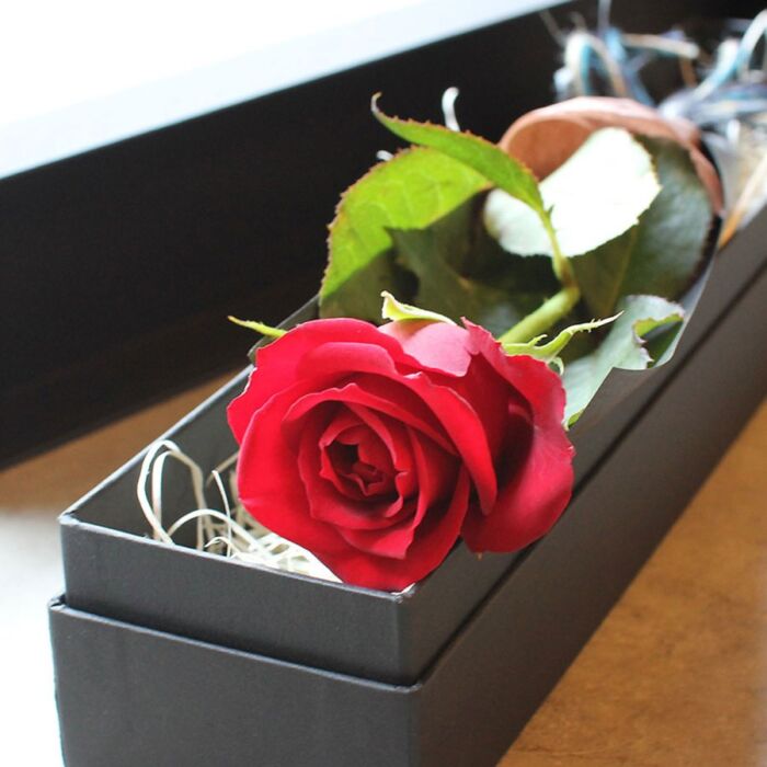 featured_box-rose