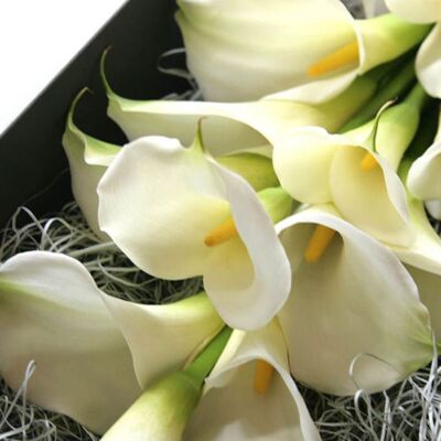 featured_calla-box-bouquet