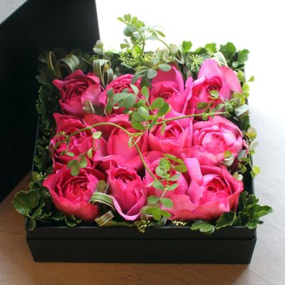 featured_fragrance-dozen-box-arrange