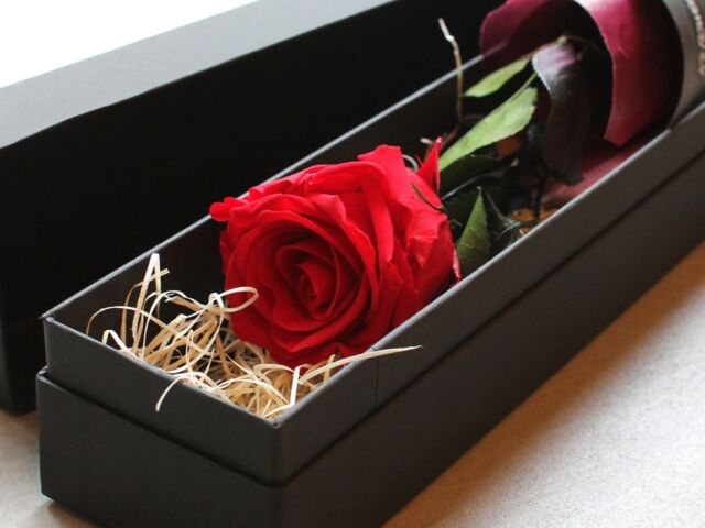 featured_pre-box-rose