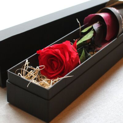 featured_pre-box-rose