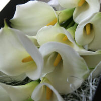 calla-box-bouquet02