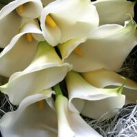 calla-box-bouquet06