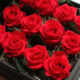 pre-dozen-roses-box-arrange-s03