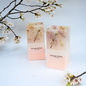 pickup_sakura-candle_main