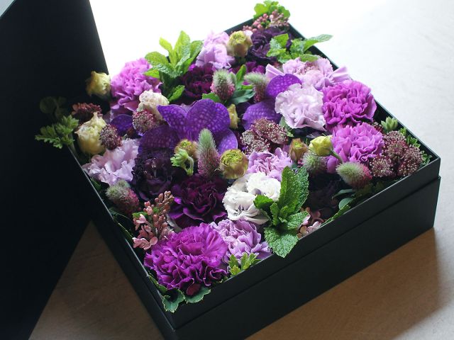 moondust-box-15000-02