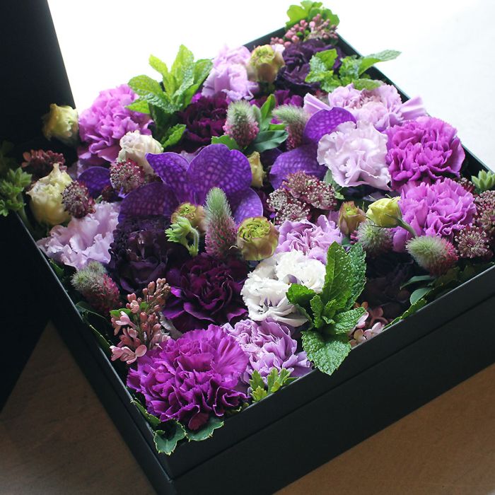 moondust-box-15000-02