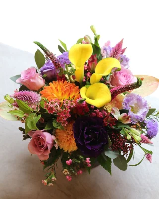 K's flower novo - ケイズフラワー・ノーヴォ K's flower novo